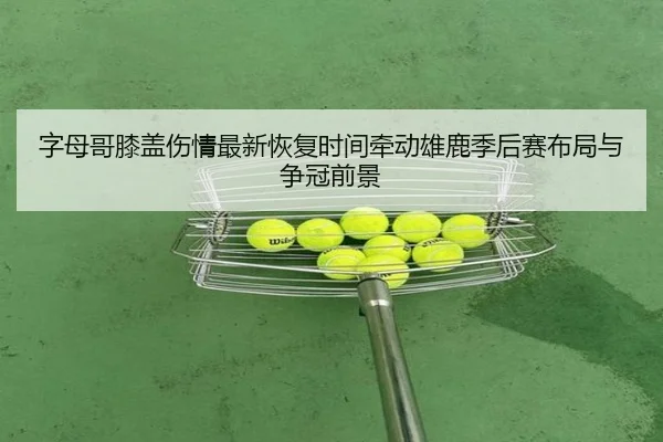 字母哥膝盖伤情最新恢复时间牵动雄鹿季后赛布局与争冠前景
